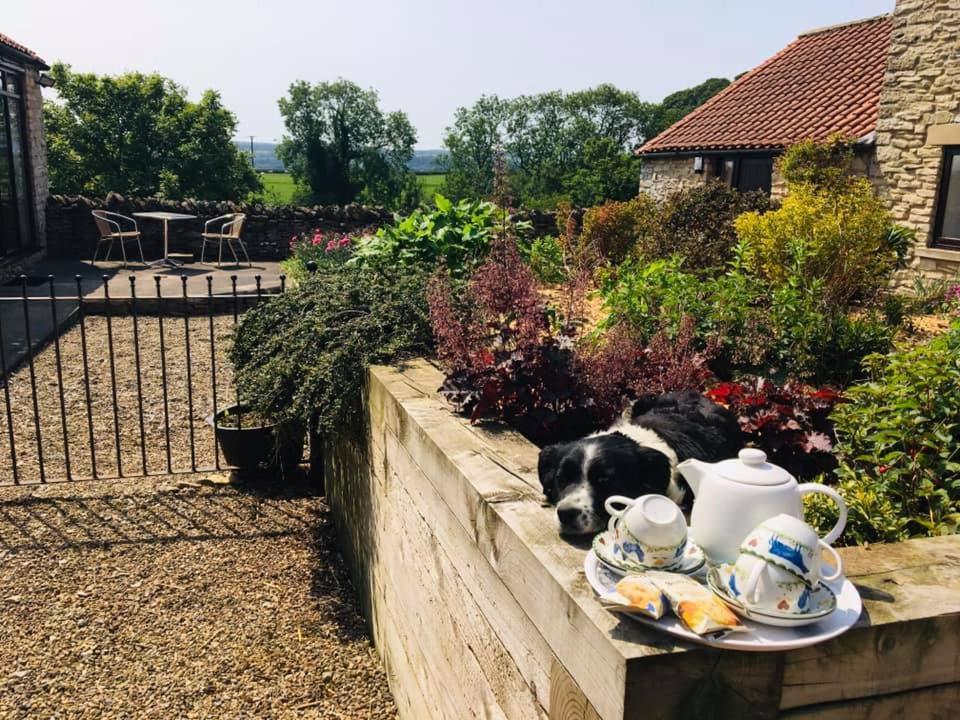 Valley View Farm Holiday Cottages Helmsley Dış mekan fotoğraf